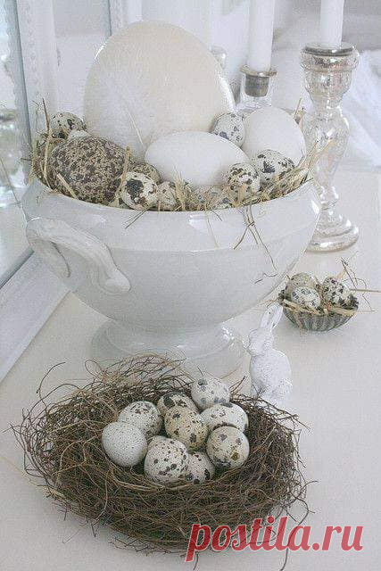 (7) Facebook