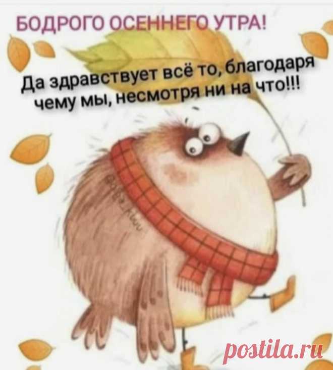 e3d2bafd.jpg (828×920)