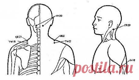 ВОСТОЧНЫЙ МАССАЖ ПРИ БОЛЯХ В ПЛЕЧЕВОМ СУСТАВЕ

Массаж, проведенный в течение 10-15 минут, поможет снять боль и напряжение в области плеч и шеи. Если боли в плечах стали уже хроническими, то потребуется несколько сеансов массажа.

Точки для снятия боли и напряжения в области плечевого сустава:

Точка TW 15 (“божественное омоложение”). Симметричная точка, расположена примерно на 1 палец вниз от верхнего края плеч, в центре линии, идущей от бокового края плеча к основанию шеи...