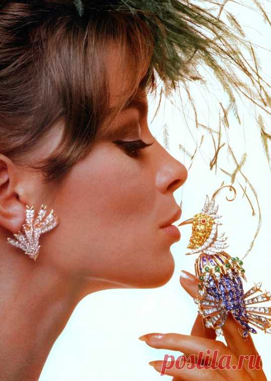1963. Astrid Heeren by Bert Stern - p1361 | PastYears.info