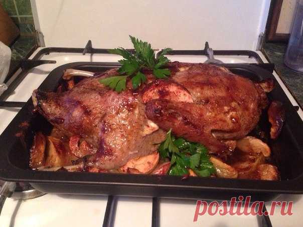 Хочу поделиться вкусным рецептом приготовления утки в духовке))) Отлично подойдет для праздников, для обычного семейного или романтического ужина. Утка получается ароматная, вкусная и самое главное полезная))))

Берем тушку утки, у меня своя домашняя, 2-2.5 кг.
Яблочный уксус
Соль, перец
Корица
Яблоки антоновка 5 шт.
Мед
Кинза

Утку моем, сушим. Изнутри и снаружи натираем солью и перцем. Делаем маринад. Абсолютно простой и вкусный, разводим уксус в воде замачиваем тушку на...