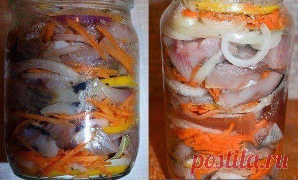 СЕЛЁДКА ПО-ГОЛЛАНДСКИ