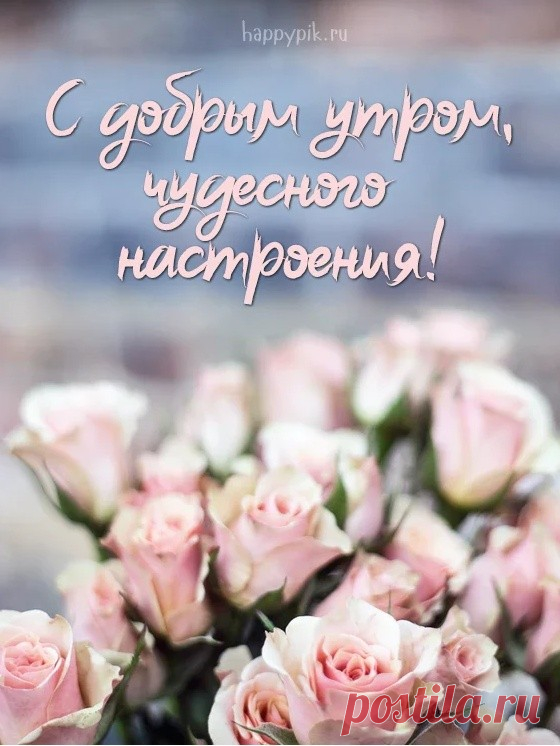 Хорошего дня картинки. Более 50 открыток хорошего дня.