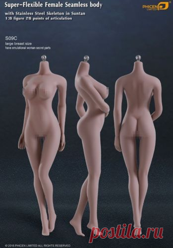 1:6 Phicen Female Flexible Seamless Steel Skeleton Suntan Body Large Bust S09C | eBay