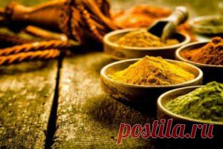 Пресс-секретарь Президента РФ прокомментировал письмо  | Темы дня