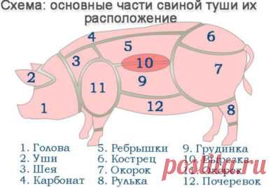 Какую часть свинины лучше запекать в духовке: секреты запекания мяса целым куском - Onwomen.ru