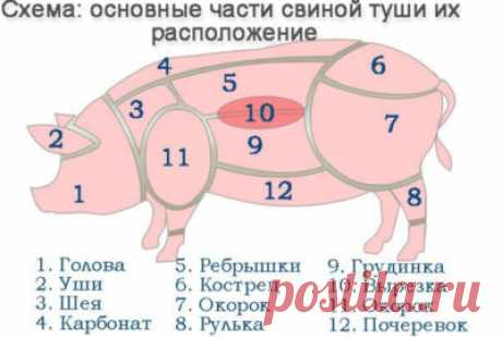 Какую часть свинины лучше запекать в духовке: секреты запекания мяса целым куском - Onwomen.ru