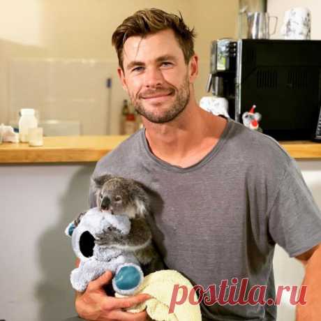 Крис Хемсворт отмечает 37-летие: любопытные факты о жизни и карьере звезды &quot;Мстителей&quot;