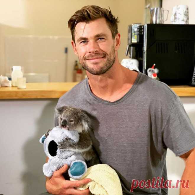 Крис Хемсворт отмечает 37-летие: любопытные факты о жизни и карьере звезды "Мстителей"