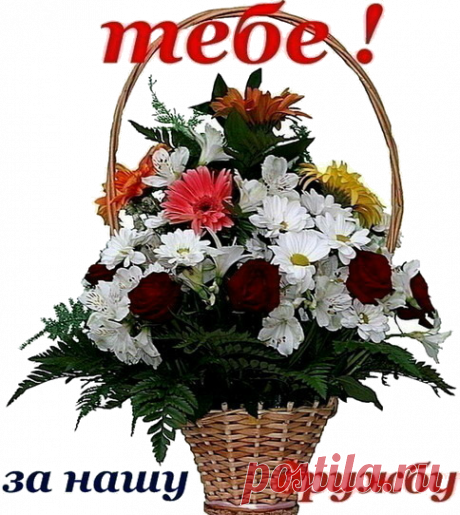 Я ДОРОЖУ СВОИМИ ДРУЗЬЯМИ!