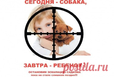 Фонд помощи бездомным животным ...ВЕРНОЕ СЕРДЦЕ.