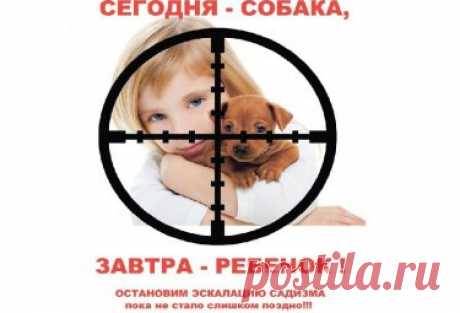 Фонд помощи бездомным животным ...ВЕРНОЕ СЕРДЦЕ.