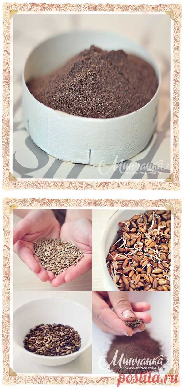 Домашний солод