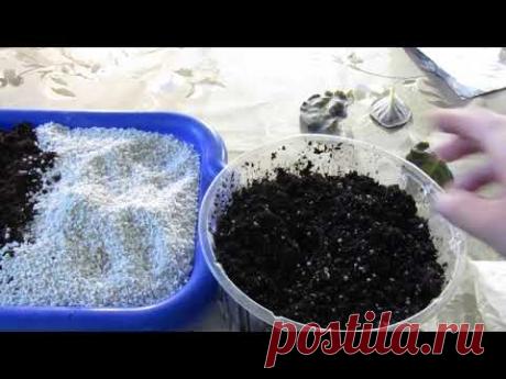 КАК ПОСАДИТЬ ЛИСТ ФИАЛКИ.  КРАТКО ВСЕ СПОСОБЫ В ОДНОМ ВИДЕО