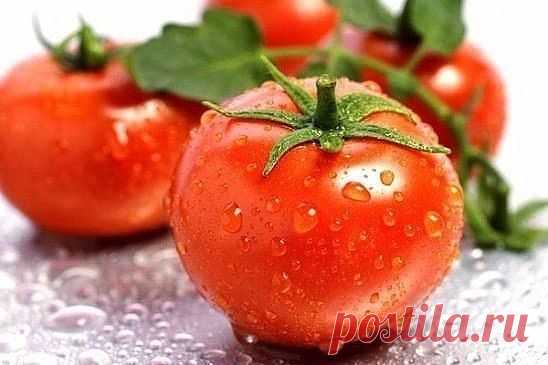 Уникальный способ посева томатов... под зиму
