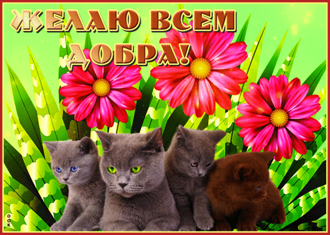 Открытка желаю всем добра