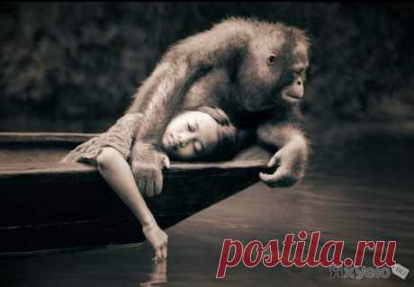 Gregory Colbert фотографии. Проект &quot;Пепел и снег&quot;
