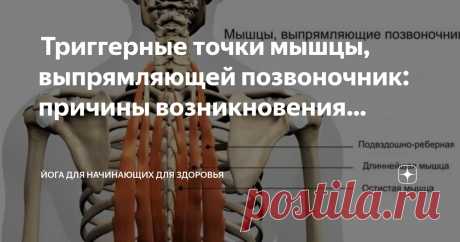 Йога для начинающих для здоровья Пост автора «Йога для начинающих для здоровья» в Дзене ✍:  Триггерные точки мышцы, выпрямляющей позвоночник: причины возникновения, симптомы и методы устранения  Терапия триггерных точек — растяжка...