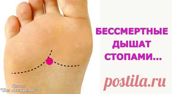 (54) Одноклассники