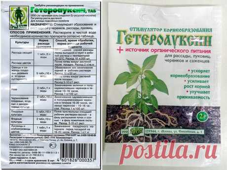 Гетероауксин: применение для растений, инструкция, действие