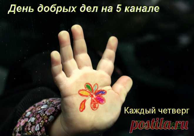 День добрых дел на пятом канале.