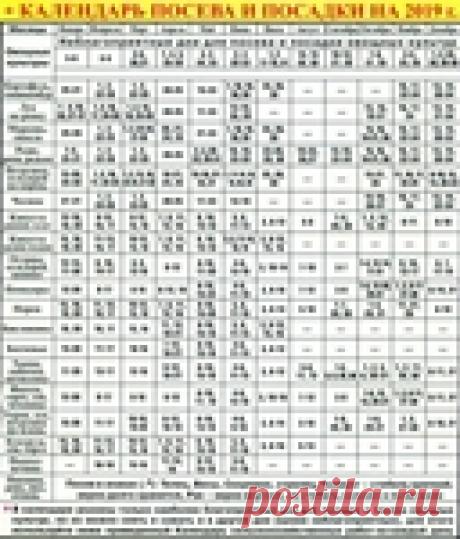 Календарь посева и посадки растений на 2019