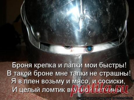 Четыре сыночка (котоматрица)