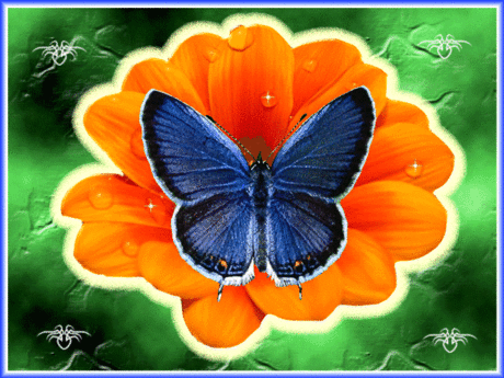 0_54d34_70033155_XL.jpg (640×480)