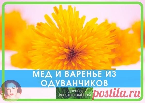 По просьбам подписчиков:

Целебная защита от болезней – мёд и варенье из одуванчиков

Мёд из одуванчиков – удивительное лакомство, которое может несколько десятков лет сохранять свои полезные свойства. Его несложно готовить в домашних условиях, хранить в стеклянной, деревянной или пластиковой таре, использовать для приготовления лекарств, предназначенных для наружного и внутреннего применения. Нектар нравится практически всем, благодаря удивительному аромату и горьковатому...