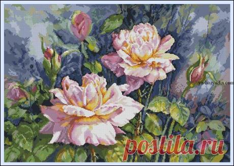 Шикарные розы вышивка крестом. Схемы вышивки розы цветы