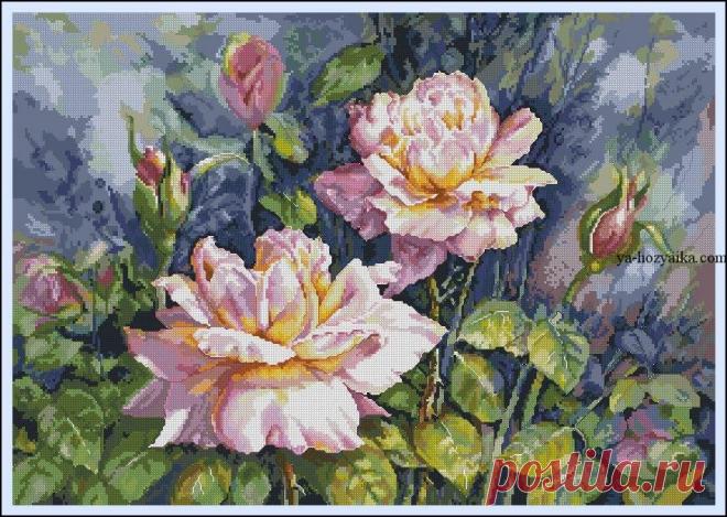 Шикарные розы вышивка крестом. Схемы вышивки розы цветы