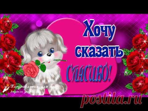 ❤️ Хочу сказать спасибо. 🌹С Международным днем Спасибо 11 января! Музыкальная видео открытка.