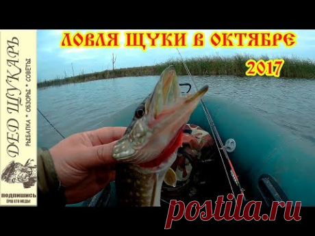 Ловля щуки в октябре 2017