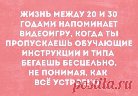 цитата