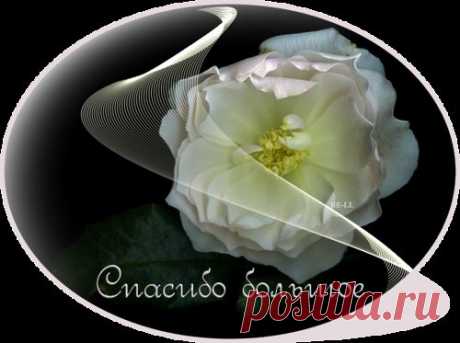 КОММЕНТИКИ | Записи в рубрике КОММЕНТИКИ | Маленький мирок Валюши.