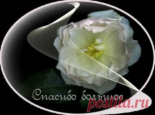 КОММЕНТИКИ | Записи в рубрике КОММЕНТИКИ | Маленький мирок Валюши.