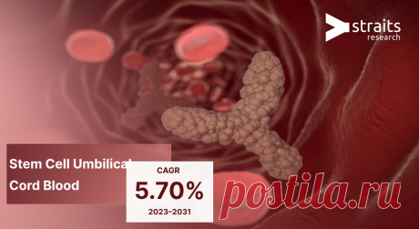 Stem Cell Umbilical Cord Blood Market Size 2031
The global stem cell umbilical cord blood market size was valued at USD 4908.42 million in 2022, growing with a CAGR of 16.5% from 2023 to 2031.