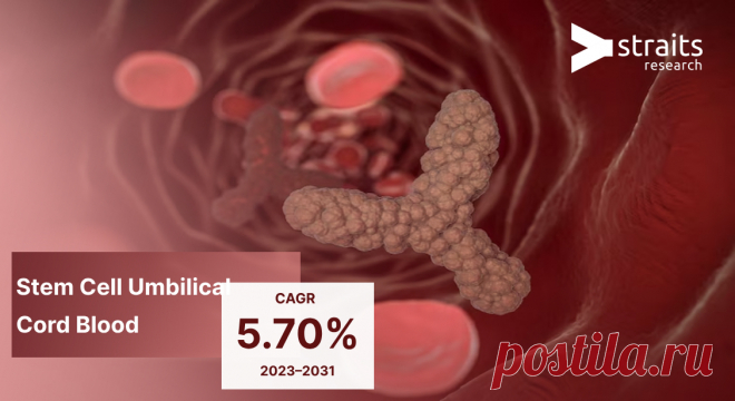 Stem Cell Umbilical Cord Blood Market Size 2031
The global stem cell umbilical cord blood market size was valued at USD 4908.42 million in 2022, growing with a CAGR of 16.5% from 2023 to 2031.