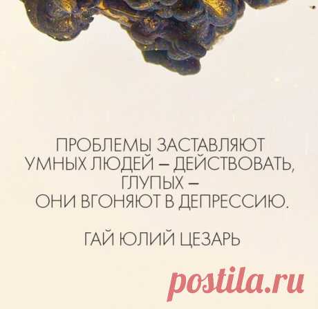 100kursov.com | Vera Dem