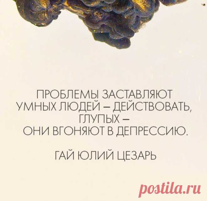 100kursov.com | Vera Dem