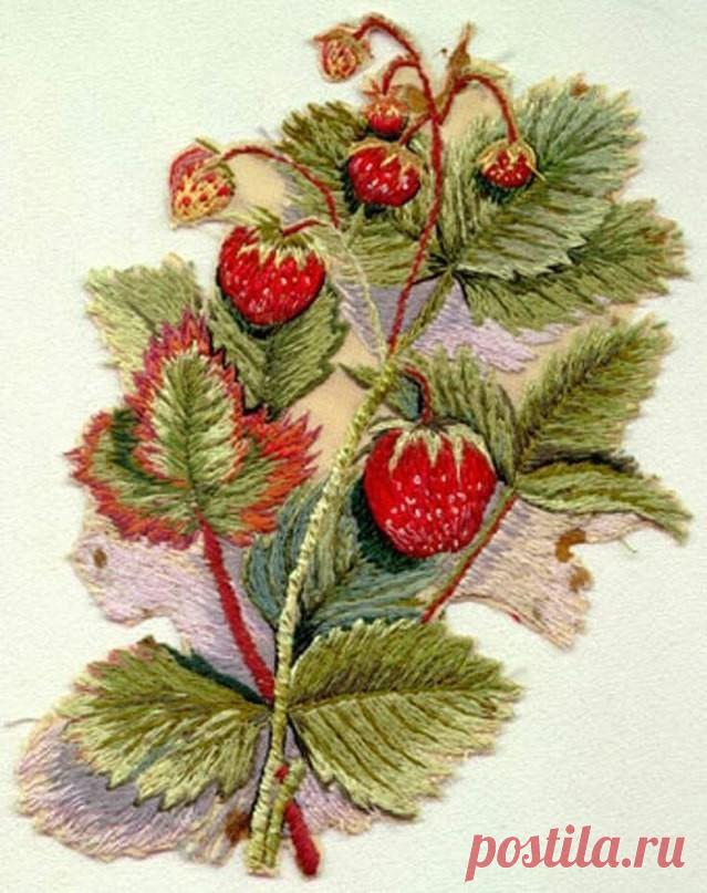 (51) Одноклассники