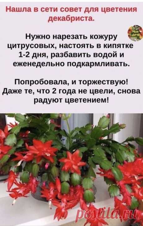 Pin page