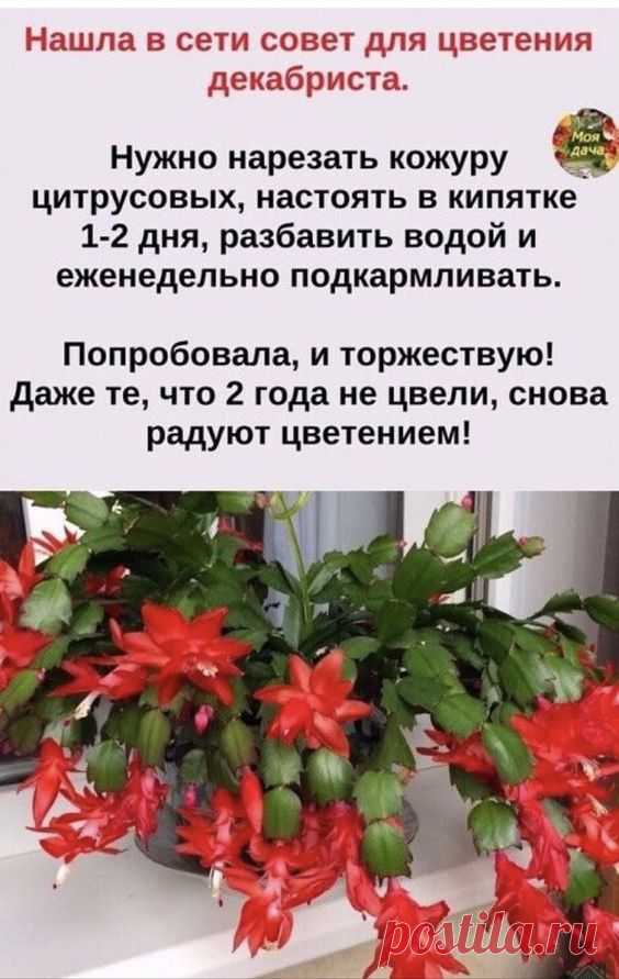 Pin page