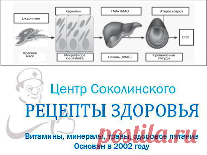 Очищение сосудов. Как очищать сосуды разумно, безопасно, в домашних условиях?