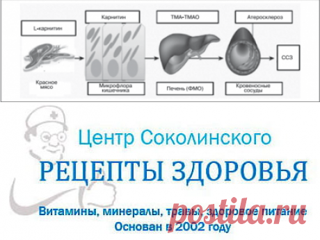 Очищение сосудов. Как очищать сосуды разумно, безопасно, в домашних условиях?
