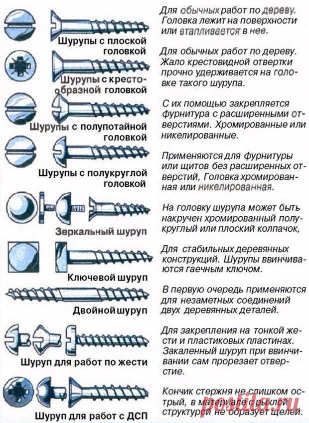 Виды шурупов