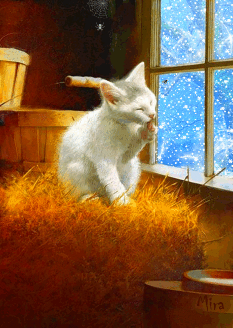 GIF анимация