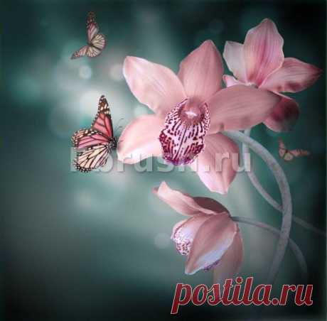 Фотообои - 3302 - Fbrush