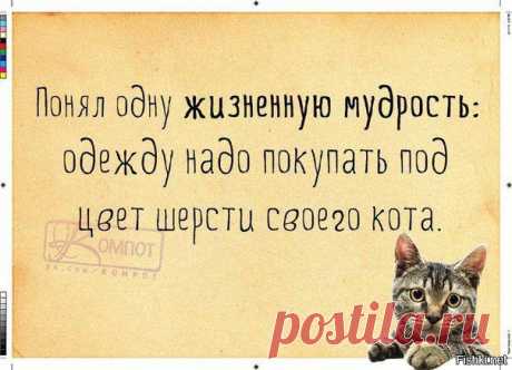 Подборка демотиваторов