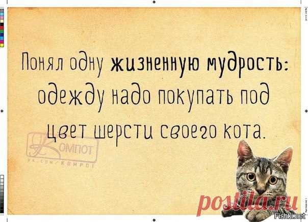 Подборка демотиваторов
